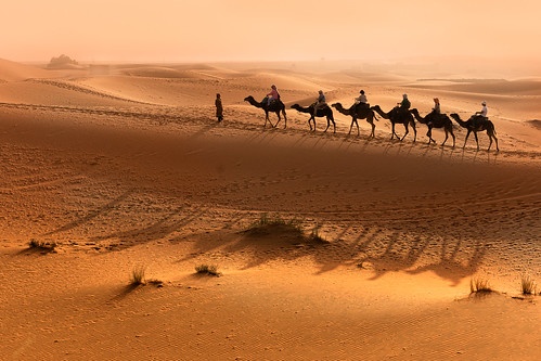 Tour nel deserto del Marocco