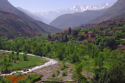 Day Trip To Ourika Valley